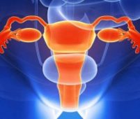 Fertility Rapid Tests & Devices